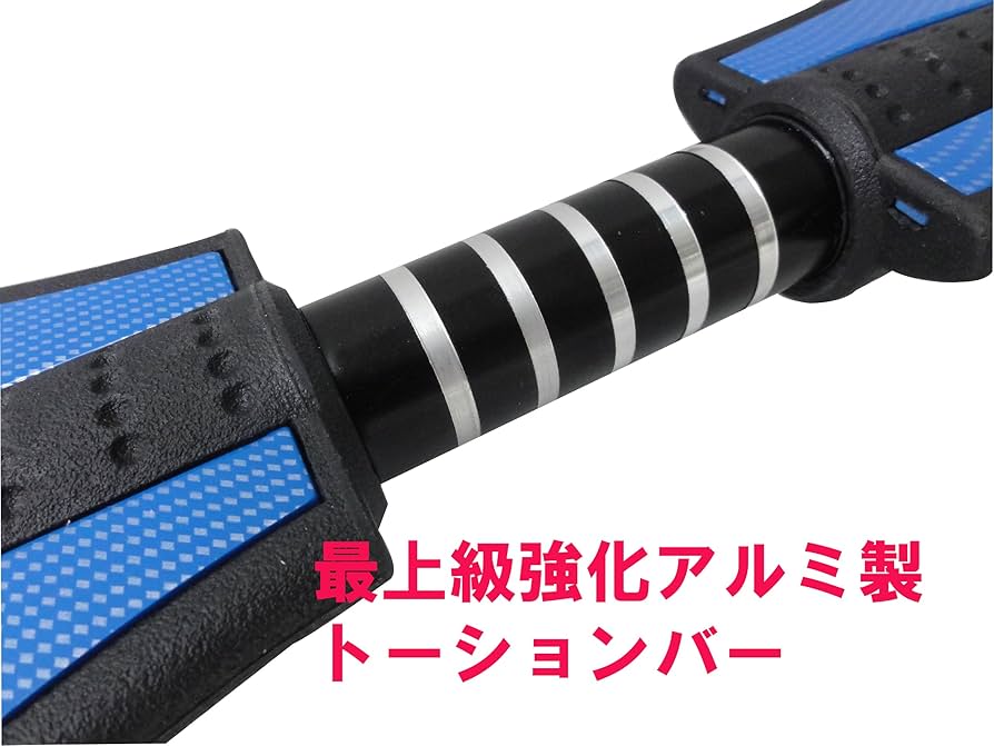 【状態良好】リップスティックデラックス 最上位モデル キャスターボード Amazon.co.jp: ラングスジャパン(RANGS) リップスティック